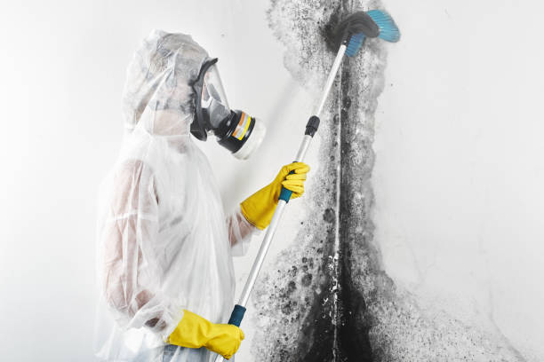 Best Biohazard Mold Removal  in Aiken, SC