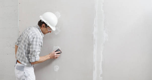 Best Commercial Mold Inspection  in Aiken, SC