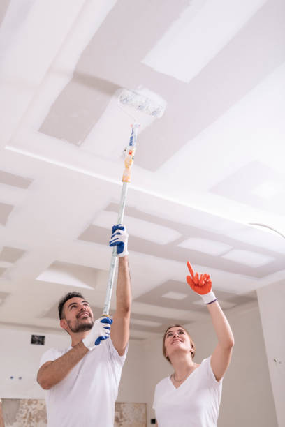 Reliable Aiken, SC Mold Removal Solutions