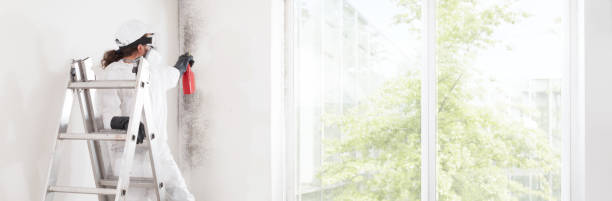 Best Mold Odor Removal Services  in Aiken, SC