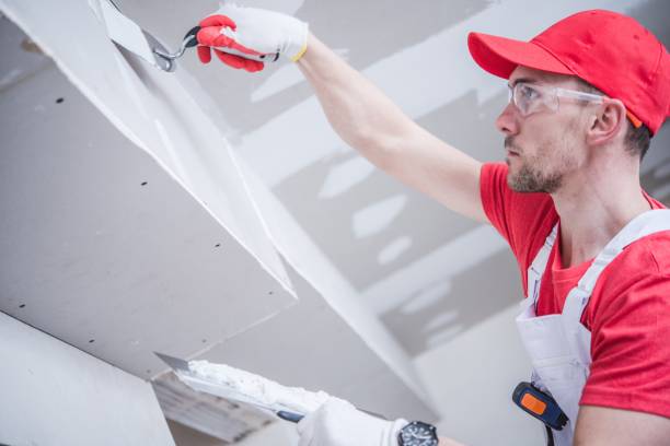 Best Comprehensive Air Testing for Mold Contaminants  in Aiken, SC